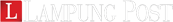 lampost.com