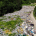 polusi plastik