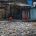 global plastic pollution